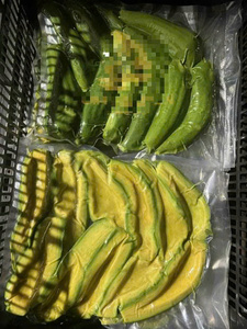 Aguacate Tropical Congelado |   Calidad Premium |   Vietnam - Product Image 5