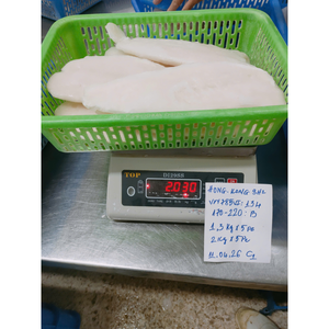Pangasius Congelado IQF Disponible en Tamaños Personalizados, Filete Premium con Piel de Vietnam, envasado a granel, con acabado brillante, 10 kg/caja - Product Image 1