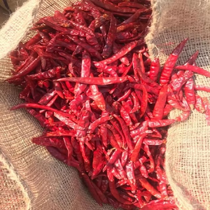 Piments de Cayenne entiers séchés, triés et conditionnés pour l'exportation en vrac, avec contrôle de l'humidité, pour les importateurs. - Product Image 1