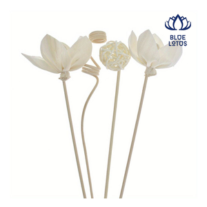 NOUVEAU DESIGN Bâtonnets diffuseurs en rotin durable, roseaux naturels longue durée, sans alcool, pour diffusion continue d'huiles essentielles - Product Image 1