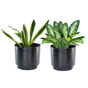 Maceta de Metal de Diseño Moderno, Florero Decorativo para el Hogar y la Sala de Estar, Macetero Decorativo con Diseño Floral Hecho a Mano - Product Image 6