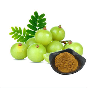 Extracto de Amla de la Mejor Calidad, 40% Natural, Polvo de Fruta de Emblica Officinalis para el Cuidado de la Piel, el Cabello y la Salud, Disponible para la Venta - Product Image 6
