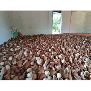 Copra de Coco de Alta Calidad para la Extracción de Leche y Crema de Coco, Ingredientes Alimenticios Naturales a Precio de Mayoreo por Proveedor - Product Image 1