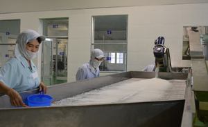 แป้งมะพร้าวออร์แกนิกปลอดกลูเตนสำหรับอบขนมผลไม้อบแห้ง - Product Image 6