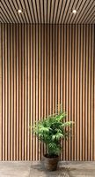 Paneles y tableros de pared Eco-WPC Renovación moderna y elegante con grano de alta definición Ligero para la transformación de la pared