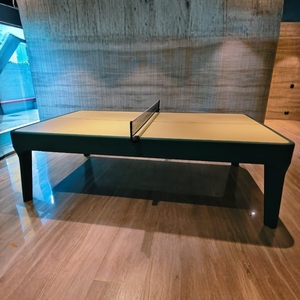 Juego de Tenis de Mesa ARGMAC TT, Marco Moderno Personalizado, Ecológico y Duradero, Incluye Red de 50 kg, Mesa de Competición para Interiores de Haryana - Product Image 1