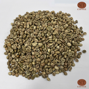 Suministro B2B de Granos de Café Robusta Crudos de Vietnam, Sabor Intenso, Alta Potencia, Directo de Granja, Empaque a Granel, OEM, ODM, Listo para Exportación - Product Image 1
