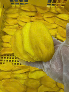 Mango Deshidratado FD Premium Suave, Sabor Dulce, Paquete a Granel, Snack Saludable Masticable y Alargado, 7kg, Vietnam, 12 Meses - Product Image 1