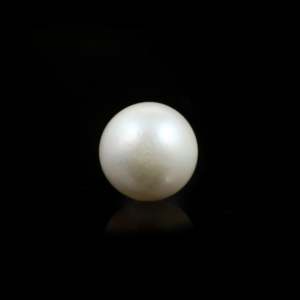 Certified Natural Pearl 10.85 Carat Loose Freshwater & Seawater White Pearl Wholesale - Product Image 1