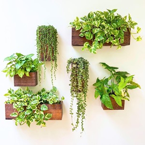Handcrafted Acacia <b>Wood</b> Planter Box - <b>Rustic</b> Brown Wooden Flower Pot Wholesale - Product Image 1