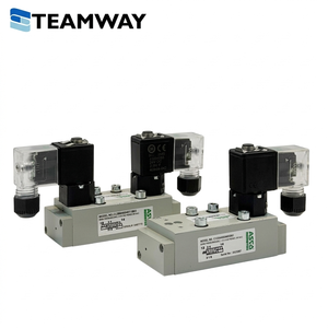 Válvula Solenoide Neumática ASCO Numatics Serie C12 de 5/2 Vías, Puerto G1/4, 24V DC, 110V AC, 220V AC - Product Image 2