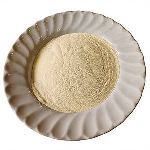 ผงมะม่วงสกัด ขายส่ง ผลิตในประเทศไทย - Product Image 1