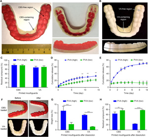 ที่ครอบฟันพลาสติกป้องกันสำหรับฝึกซ้อมมวยทุกฤดูกาล มีหลายสีให้เลือก - Product Image 6
