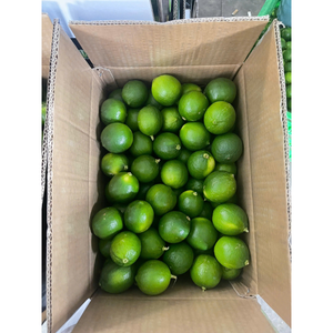 Citron vert frais sans pépins du Vietnam, peau verte naturelle, fruit juteux, pour l'exportation en gros et la fourniture de produits frais - Product Image 4