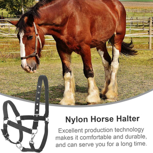 Harnais de cheval de style classique, parfait pour un travail stable et une manipulation douce, avec rembourrage doux pour un contrôle délicat et un confort durable. - Product Image 6