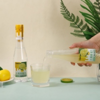 Geëmbotteeld klein groen mandarijnenhoningwater, natuurlijke zoetmaker drank, fruitdrank leverancier