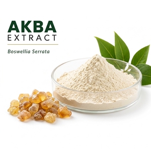 Extrait d'Akba, poudre de Boswellia Serrata, ingrédient d'extrait végétal pour compléments alimentaires et formulations alimentaires - Product Image 1