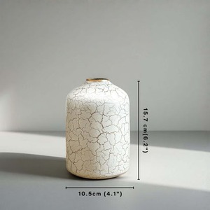 Jarrón Decorativo Hecho a Mano con Acabado Craquelado Blanco, 15.7 cm de Altura, Diseño Minimalista - Product Image 1