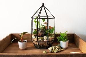 Black Frame Glass Terrarium <b>Mini</b> Landscape Planter Suitable For Photo Shoot Props And Aesthetic Content Setup From India - Product Image 4