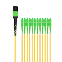 Kabel Patch Fiber Fanout DAMU DM-MPO-SC-OS2-12F MPO 12 Core ke SC APC SM Single Mode Breakout Cable FTTH untuk Jaringan Pusat Data