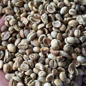 Granos de Café Verde Arábica de Vietnam de Buena Calidad, 60 kg, Screen 18, Mejor Precio, 100% Natural, Cafeína Pura Natural - Product Image 3