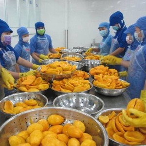 Mejor Precio 2026 Mango Congelado IQF en Porciones a Granel, Económico con Proceso de Preservación de Agua, Fruta Congelada de Alta Calidad - Product Image 6
