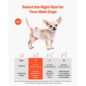 Pannolini Monouso per Cani Maschi con Indicatore di Umidità, Fascia Addominale Antiperdita a 360 Gradi, Super Assorbenti, con Stampa Doggi - Product Image 2
