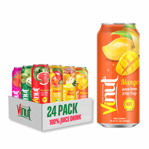 Bebida de jugo de 490ml de Vietnam con pulpa, sin azúcar, muestra gratis, Etiqueta Privada, precio de fábrica - Product Image 1
