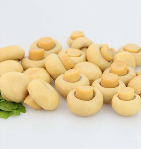 Setas <span class=keywords><strong>de</strong></span> Oya <span class=keywords><strong>de</strong></span> buena calidad, vegetales enlatados, Rey enlatados, OEM, venta <span class=keywords><strong>de</strong></span> <span class=keywords><strong>fábrica</strong></span> - Product Image 4