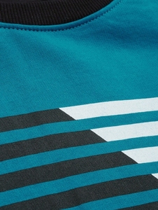 เสื้อสเวตเชิ้ตแขนยาวสีเขียวอมฟ้าและสีดำสำหรับผู้ชาย คอกลม ลายทาง พิมพ์ลายลำลอง ทรงปกติ ผ้าถักสำหรับฤดูใบไม้ร่วง ผ้าฝ้าย 100% - Product Image 6