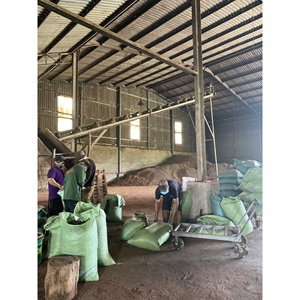 Coques de noix de cajou super bon marché, peaux de testa, faible teneur en poussière, humidité, déchets agricoles pour l'alimentation animale, haute qualité, Vietnam GIA GIA NGUYEN - Product Image 1