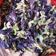 Fleurs de pois papillon naturelles entières séchées pour marques de thé haut de gamme, prix de gros avec service de livraison rapide dans le monde entier - Product Image 5