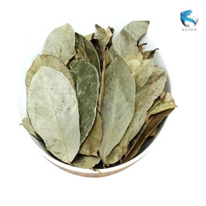 Precio de Fábrica Hojas Secas de Annona Muricata, Hoja de Guanábana Entera Natural, Materia Prima a Granel, Material para Té de Guanábana - Product Image 1