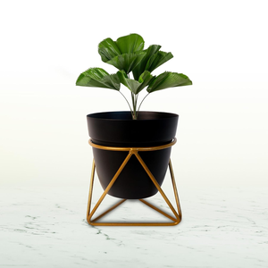 Juego de 2 Macetas de Metal Negro con Soportes de Hierro, Macetas Elevadas Modernas para Decoración Interior Contemporánea, Jardín Interior - Product Image 4