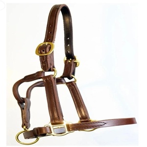 Cabestro de Cuero Premium para Caballo, Color Marrón Habana y Negro, Doble Costura, Ajustable, para Carreras de Caballos - Product Image 4