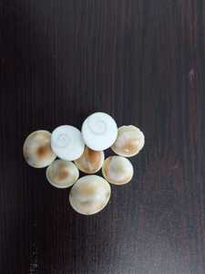 Botones de Concha Natural Ecológicos Hechos a Mano Tallados Redondos Imitación Antigua para Uso Diario - Product Image 2