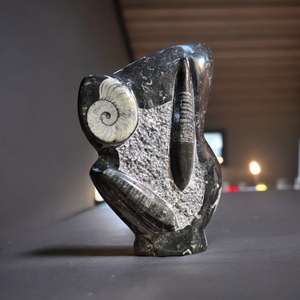 Vente en gros : Spécimen fossile d'Orthocéras de haute qualité, plaque d'ammonite, plaque de calmar, pièce sculptée en forme d'hexagone, cristal taillé - Product Image 2