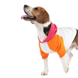 Sudadera Ecológica para Perro, 100% Algodón, Diseño Clásico Teddy, Talla XL, Lavable a Mano, Decorativa con Bolsillo, para Invierno - Product Image 2