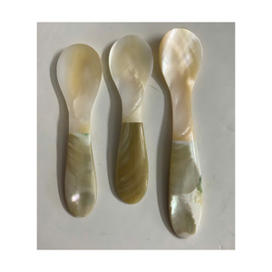 Cucharas Decorativas de Lujo Hechas a Mano con Mango de Concha de Nácar, Vintage, No Tóxicas, Ecológicas, para Servir Postres - Product Image 1