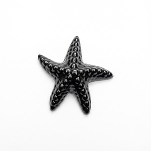 Starfish Shape Cast Iron Drawer Knob Modern Carved Design Bolt <b>Inserting</b> Type for Cupboard Shelve Drawer Opening Or Closing Use - Product Image 6