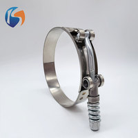 Collier de serrage à ressort en T en acier inoxydable réglable pour applications automobiles
