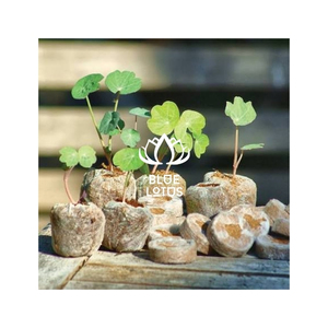 Produit phare : Granulés de fibre de coco compressée et nettoyée pour le démarrage de semis et les mélanges de rempotage, avec équilibre d'humidité et facilité de manipulation - Product Image 1