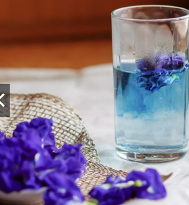 Remise sur les achats en gros disponible. Thé aux fleurs de pois papillon biologique et naturel - Complément alimentaire à base de plantes sain. - Product Image 4