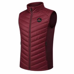 Chaleco Acolchado sin Mangas para Hombre, Cuello Alto, Cierre Frontal con Cremallera, Cortavientos, Ropa de Invierno, Chaqueta Acolchada de Color Sólido - Product Image 1