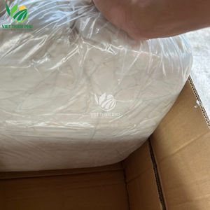 VIET THIEN PHU Nata de Coco Cruda – Alta Calidad – Directo del Fabricante – Listo para Exportación - Product Image 2