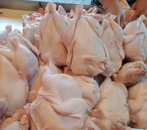 IQF Frozen Whole Chicken Halal <b>Poultry</b> Skin on <b>Meat</b> Bulk Food Grade 24 Months Shelf Life Low-Sugar for Wholesale Supply - Product Image 5
