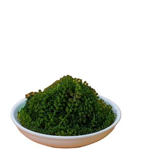 ALGAS DESHIDRATADAS NATURALES DE ALTA CALIDAD, CAVIAR VERDE-50 gramos (70 gramos después de remojar en agua) Vietnam - Product Image 1