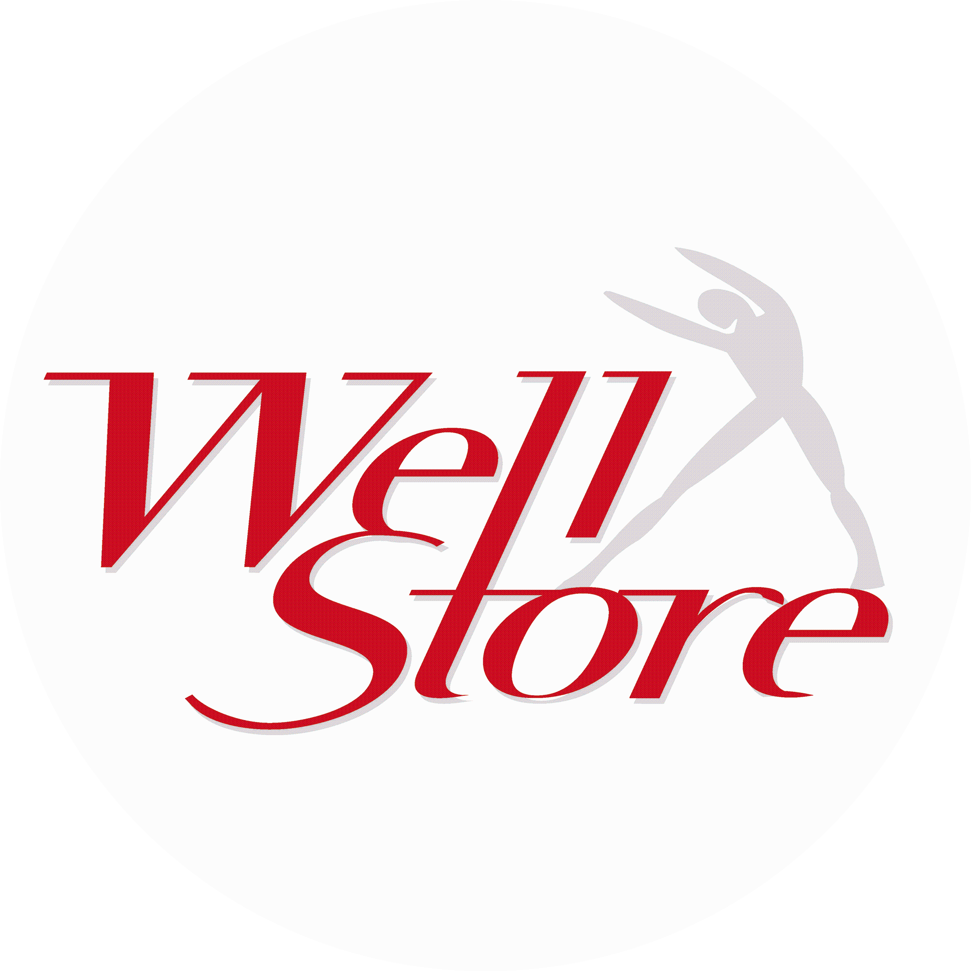 WELLSTORE SRL logo