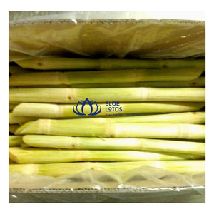สินค้าขายดี |   อ้อยแช่แข็งแบบ IQF ชนิดราสเบอร์รี่ สำหรับคั้นน้ำผลไม้สด ขายส่ง บลูโลตัส - Product Image 1