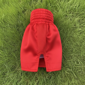 Shorts de Muay Thai professionnels, extensibles, respirants, séchage rapide, légers, pour le kickboxing et la pratique du Muay Thai. - Product Image 2